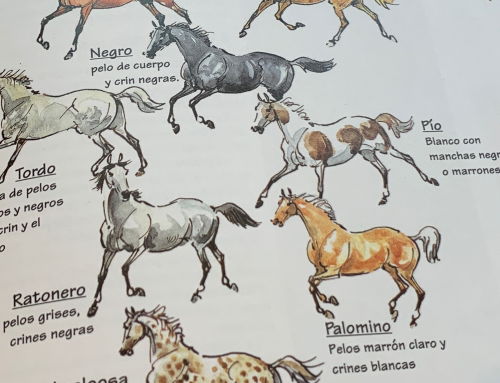 Capas y marcas del caballo